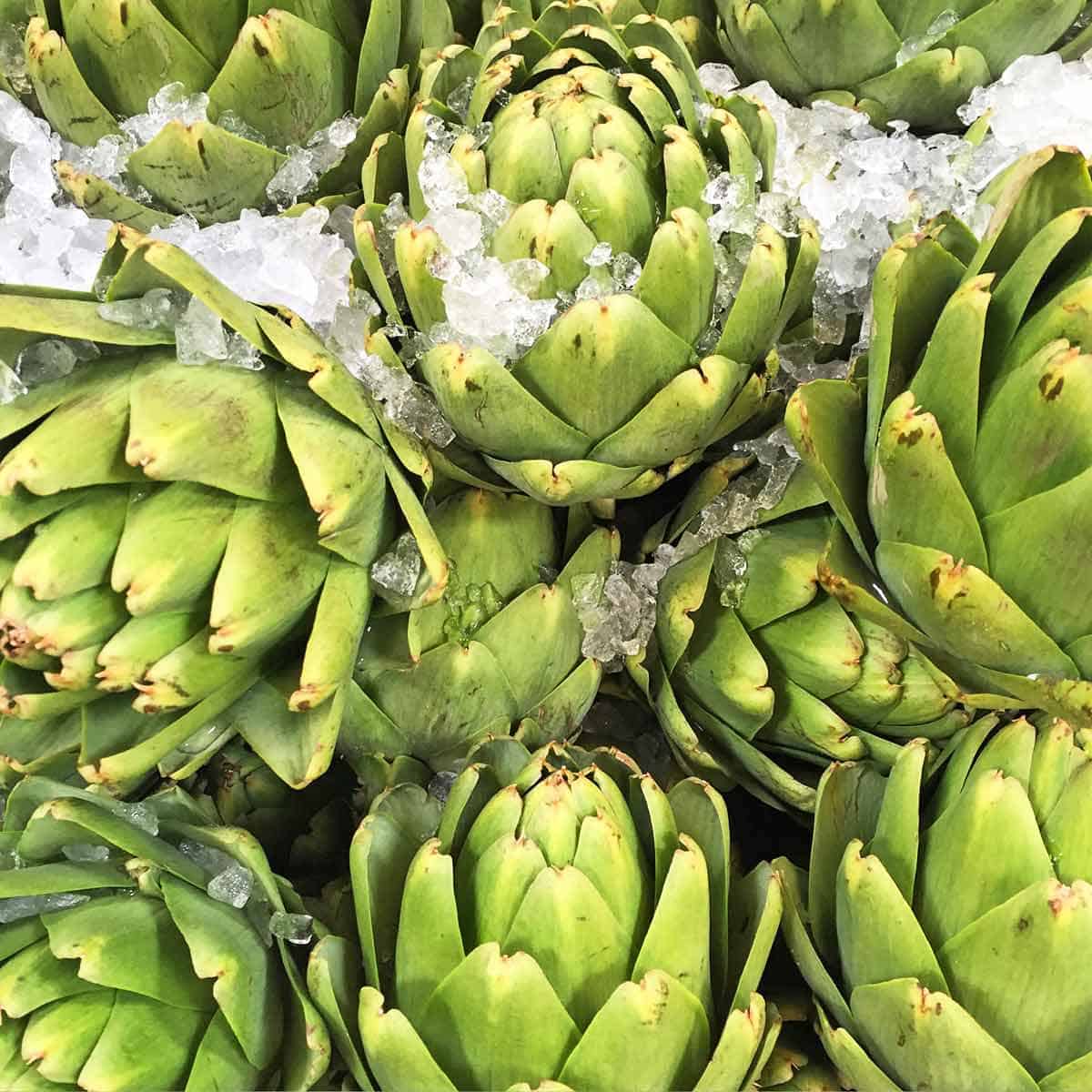 A dozen fresh artichokes on ice at the market.