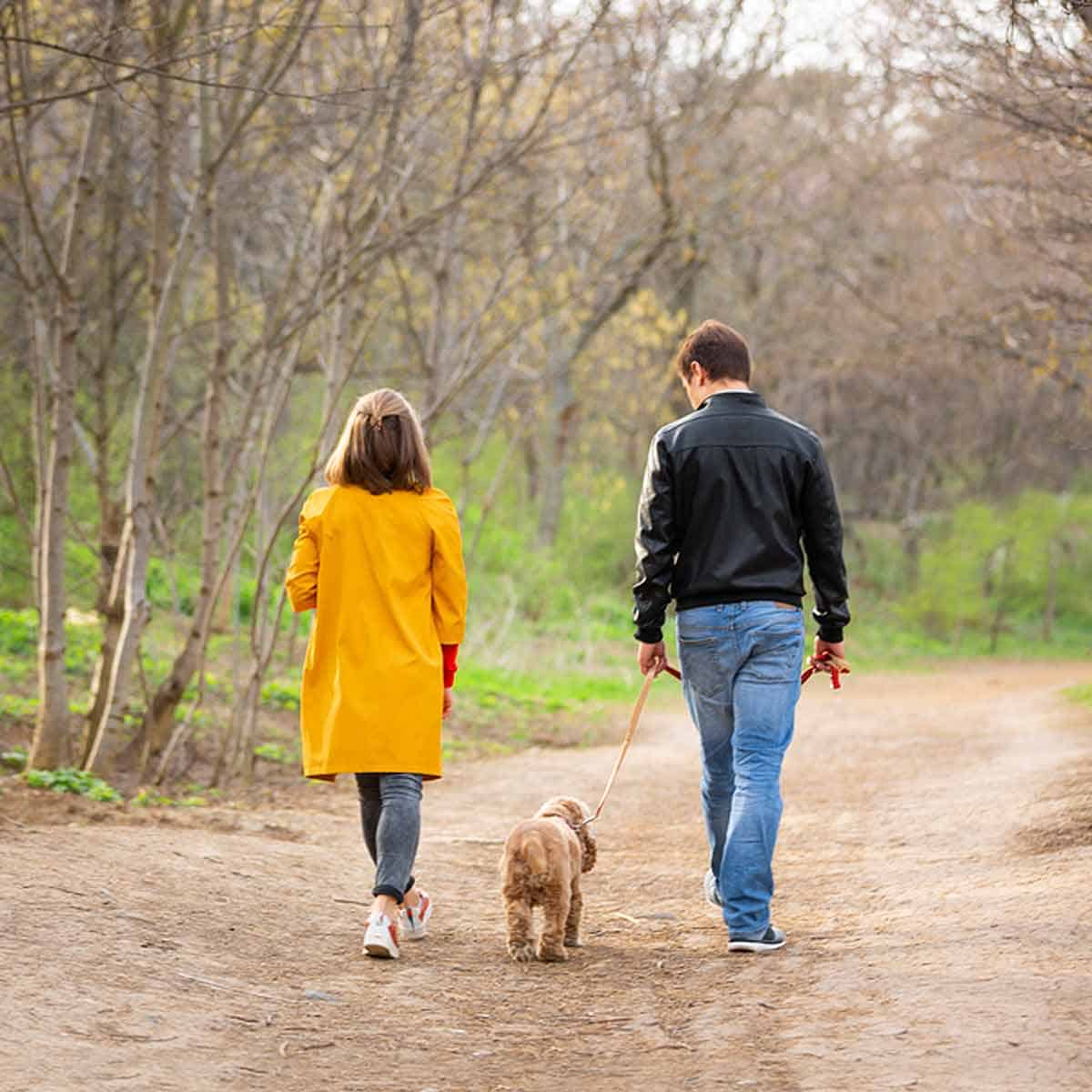 ScreenSaver A couple walking on a dirt path with a dog.