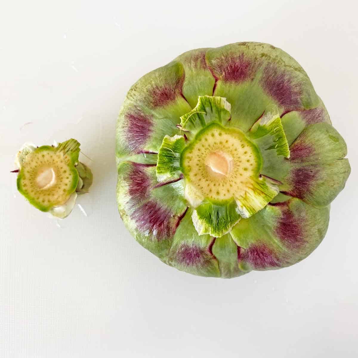 The bottom of an artichoke with the stem trimmed off.