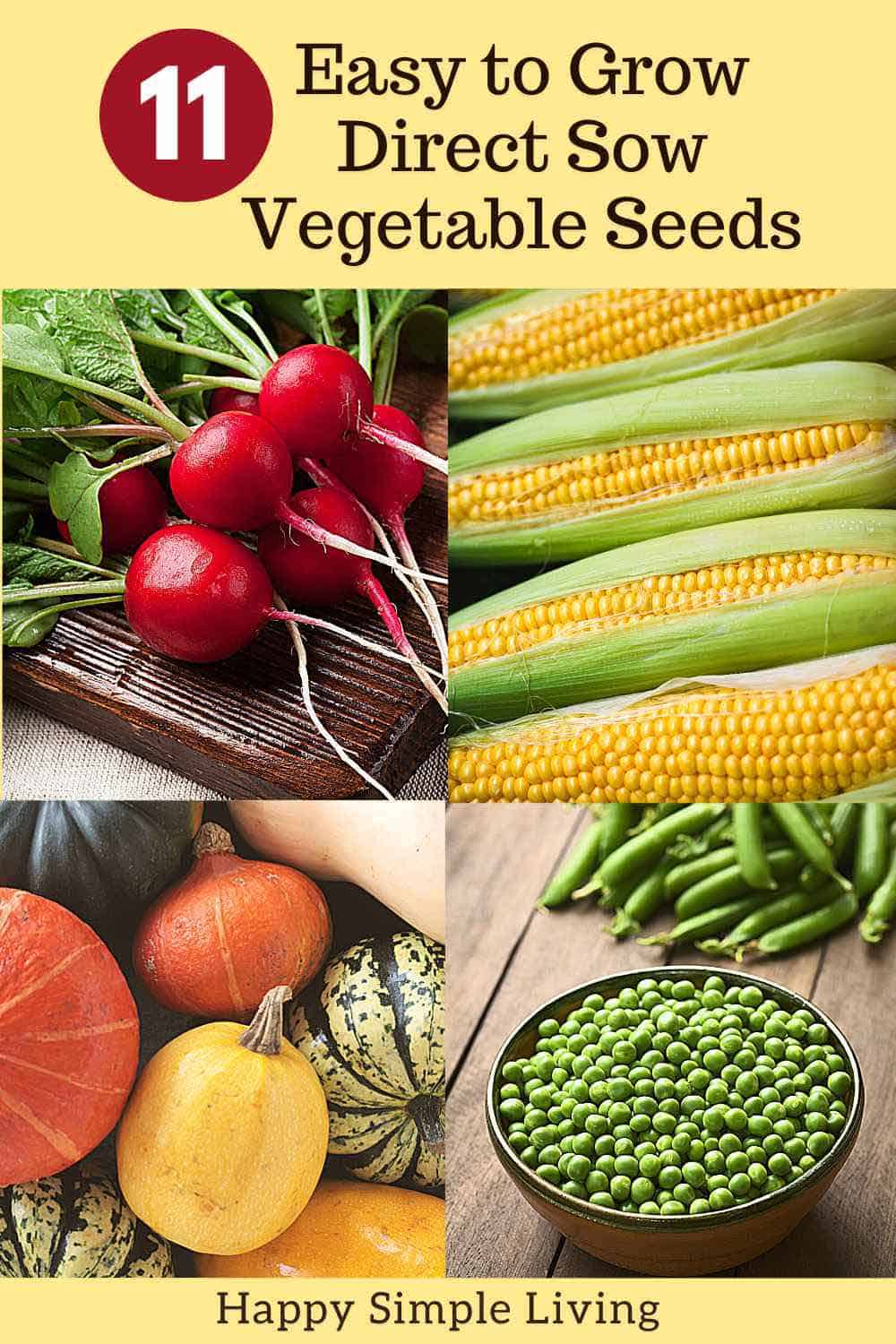 Freshly grown radishes, corn, peas and squash.