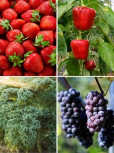 Strawberries, red bell peppers, grapes and kale.