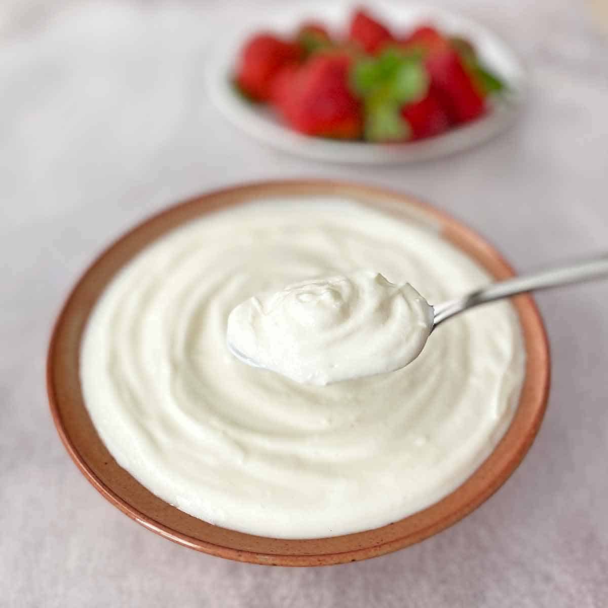 yogurt9 Finished Greek yogurt in a serving bowl with a spoon.