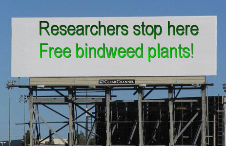 Free bindweed billboard.
