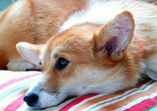 Dolce far niente