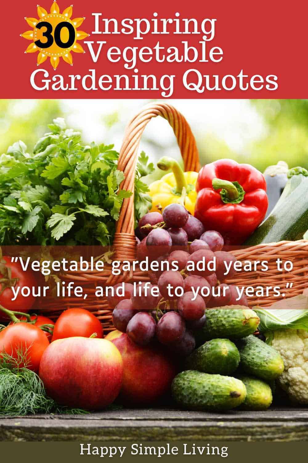 A garden basket with peppers, cucumbers, lettuce and tomatoes.