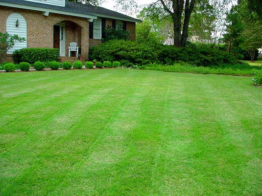 perfect lawn