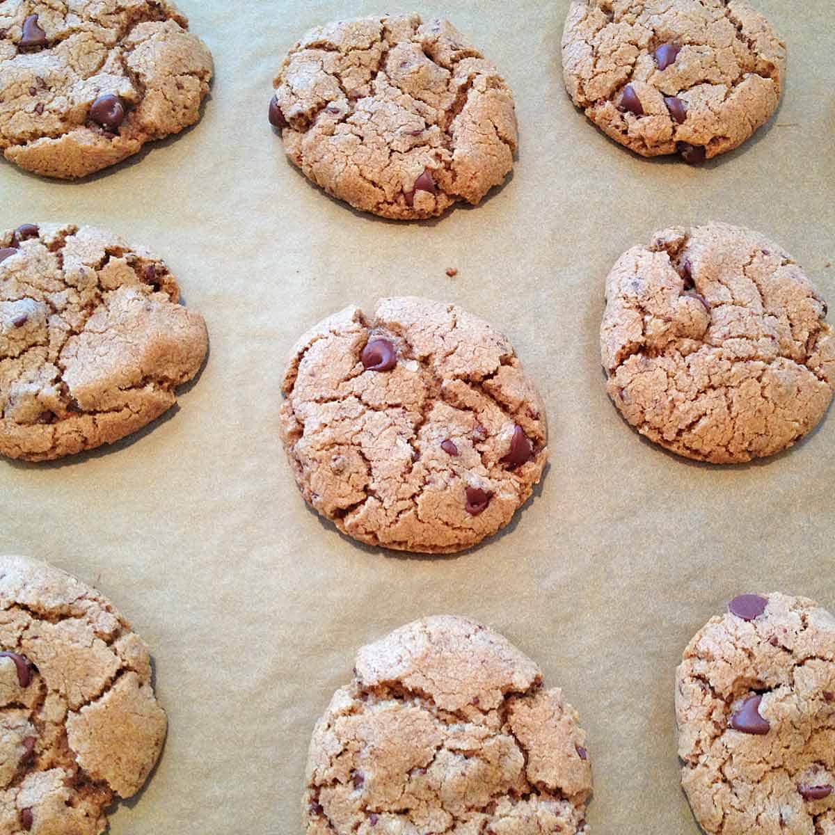 Just baked salted chocolate chip cookies on a cookie sheet.