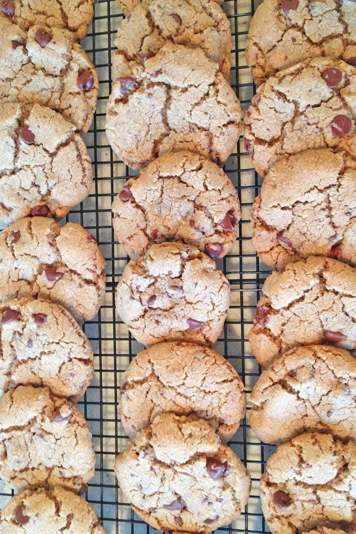 Fresh soft chocolate chip cookies arranged on a cooling rack.