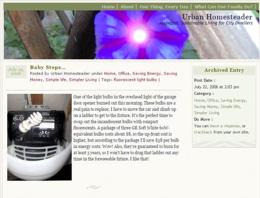A screenshot of the original Urban Homesteader blog.